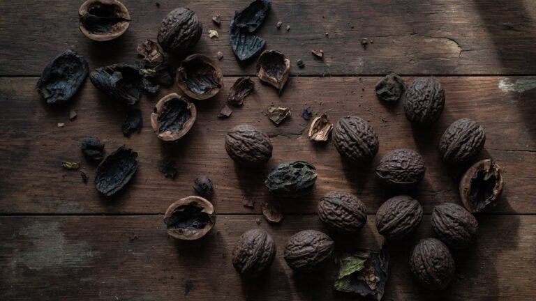 Traditional Uses of Black Walnut Hull